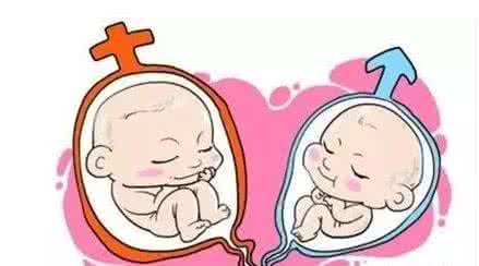 人工孕妈代怀助孕咨询怎么选